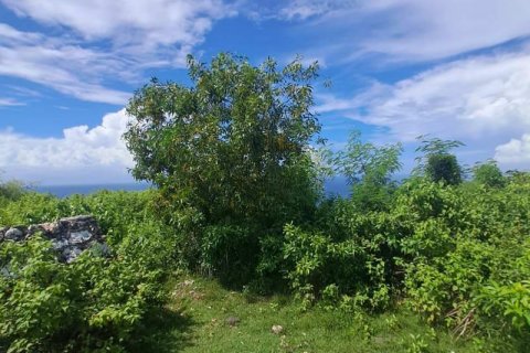 3900m2 Land in South Kuta, Badung, Indonesia No. 7724 8