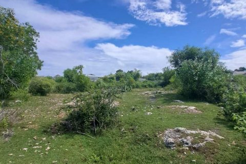3900m2 Land in South Kuta, Badung, Indonesia No. 7724 10