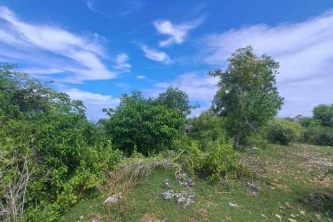 3900m2 Land in South Kuta, Badung, Indonesia No. 7724