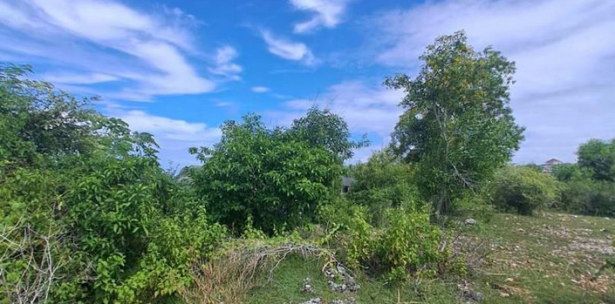 3900m2 Land in South Kuta, Badung, Indonesia No. 7724