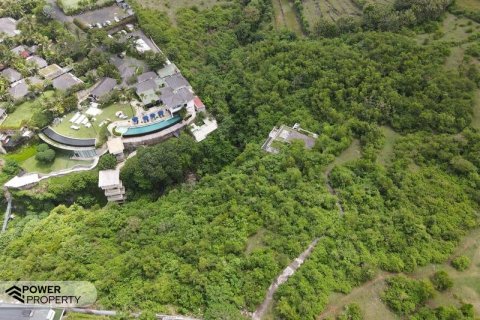 3900m2 Land in South Kuta, Badung, Indonesia No. 7724 16