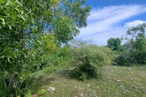 3900m2 Land in South Kuta, Badung, Indonesia No. 7724 3