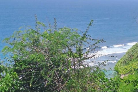 3900m2 Land in South Kuta, Badung, Indonesia No. 7724 4