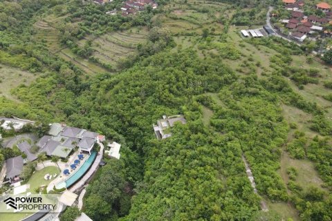 3900m2 Land in South Kuta, Badung, Indonesia No. 7724 18