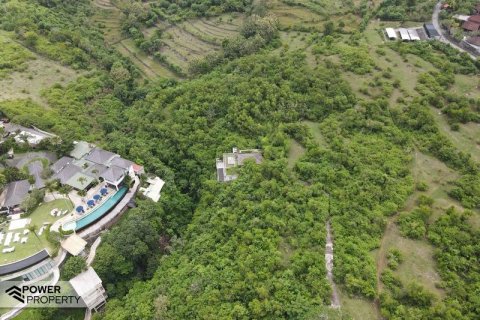 3900m2 Land in South Kuta, Badung, Indonesia No. 7724 17