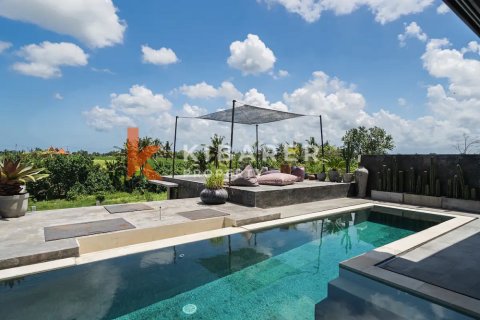 6 bedrooms Villa in Pererenan, Mengwi, Badung, Indonesia No. 12962 5